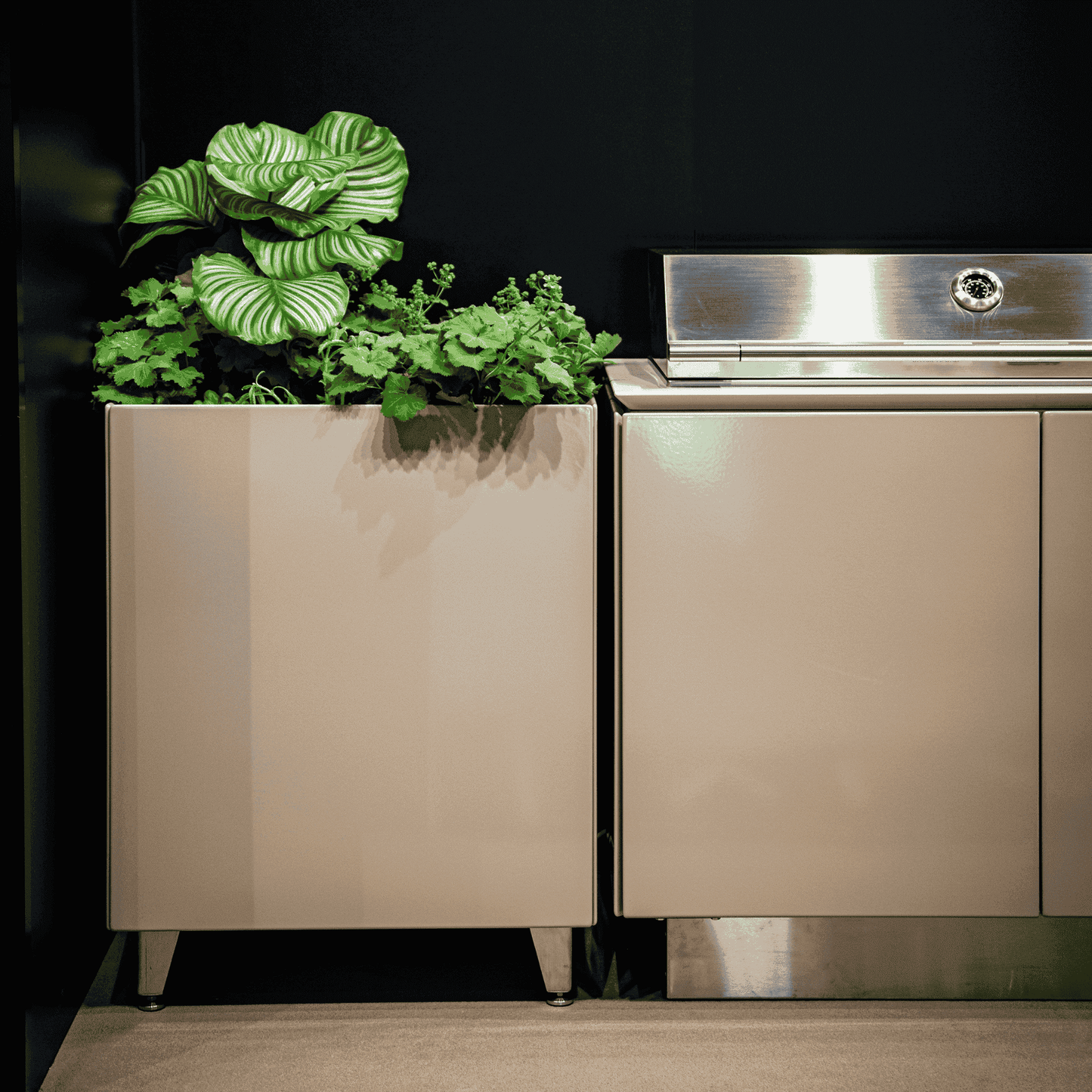 Vlaze ADAPT 240 with ProLine Gas BBQ Grill