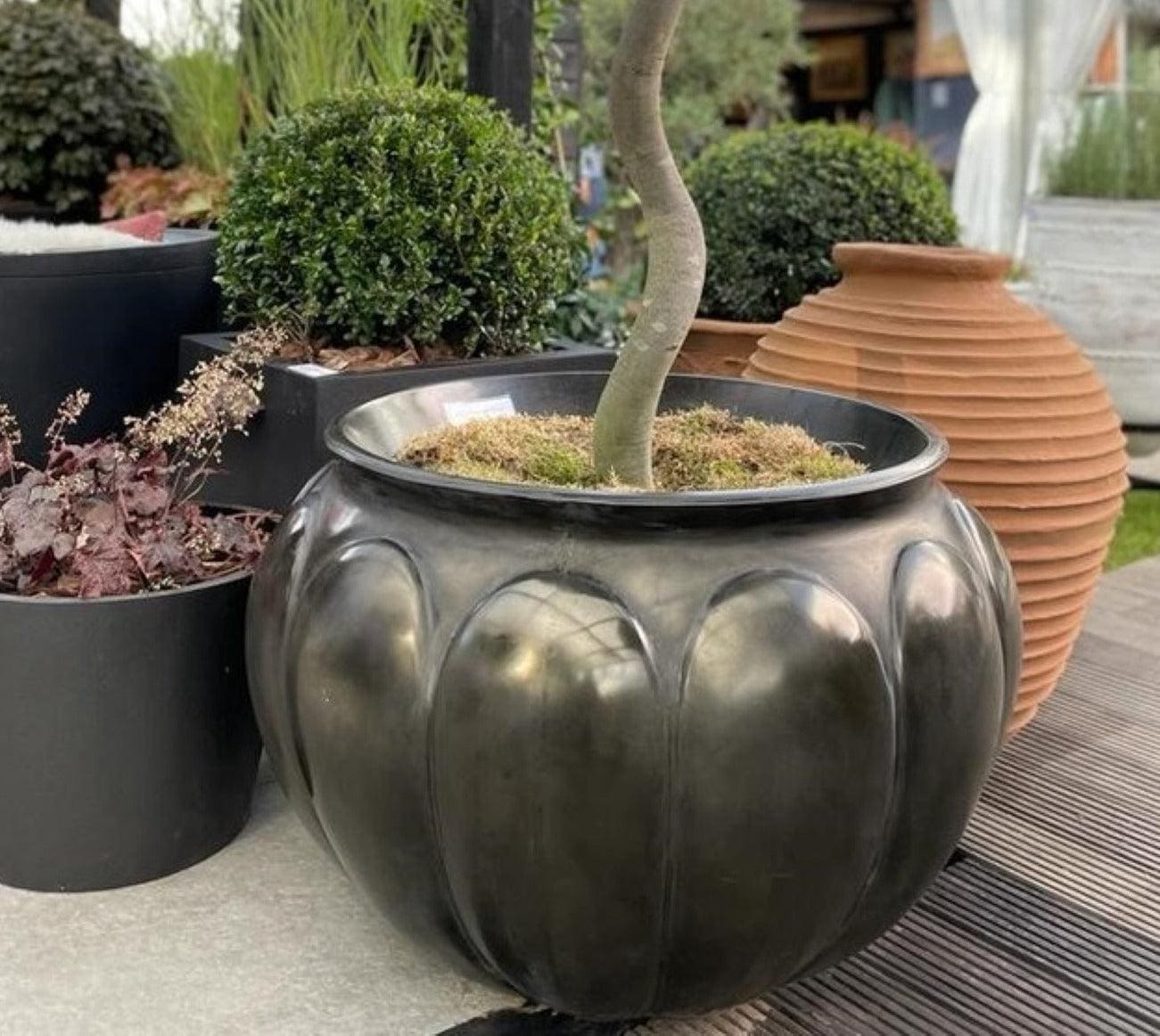 Botticelli Fibreglass Round Planter - Garden House Design