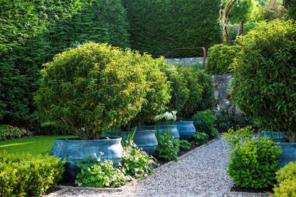 Bell Jar Fibreglass Planter - Garden House Design
