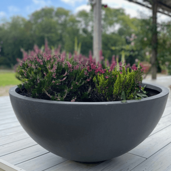 Bowl Fibreglass Planter - Garden House Design