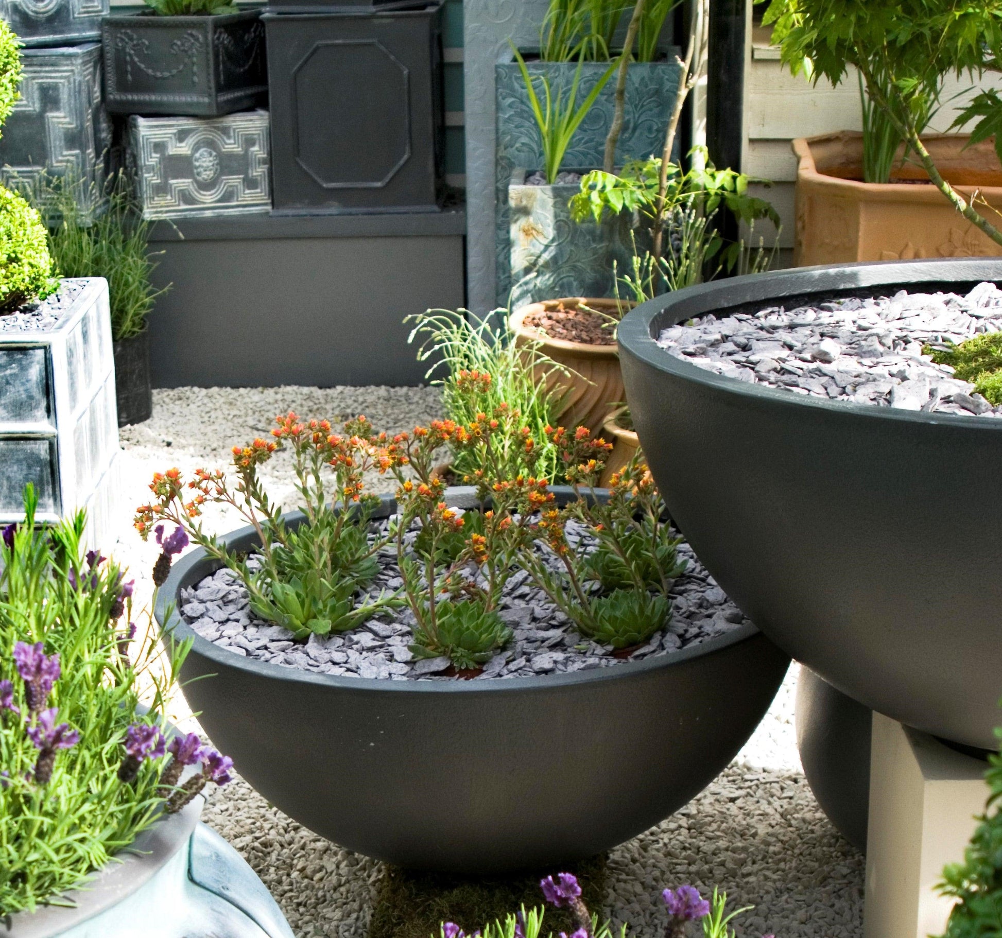 Bowl Fibreglass Planter - Garden House Design