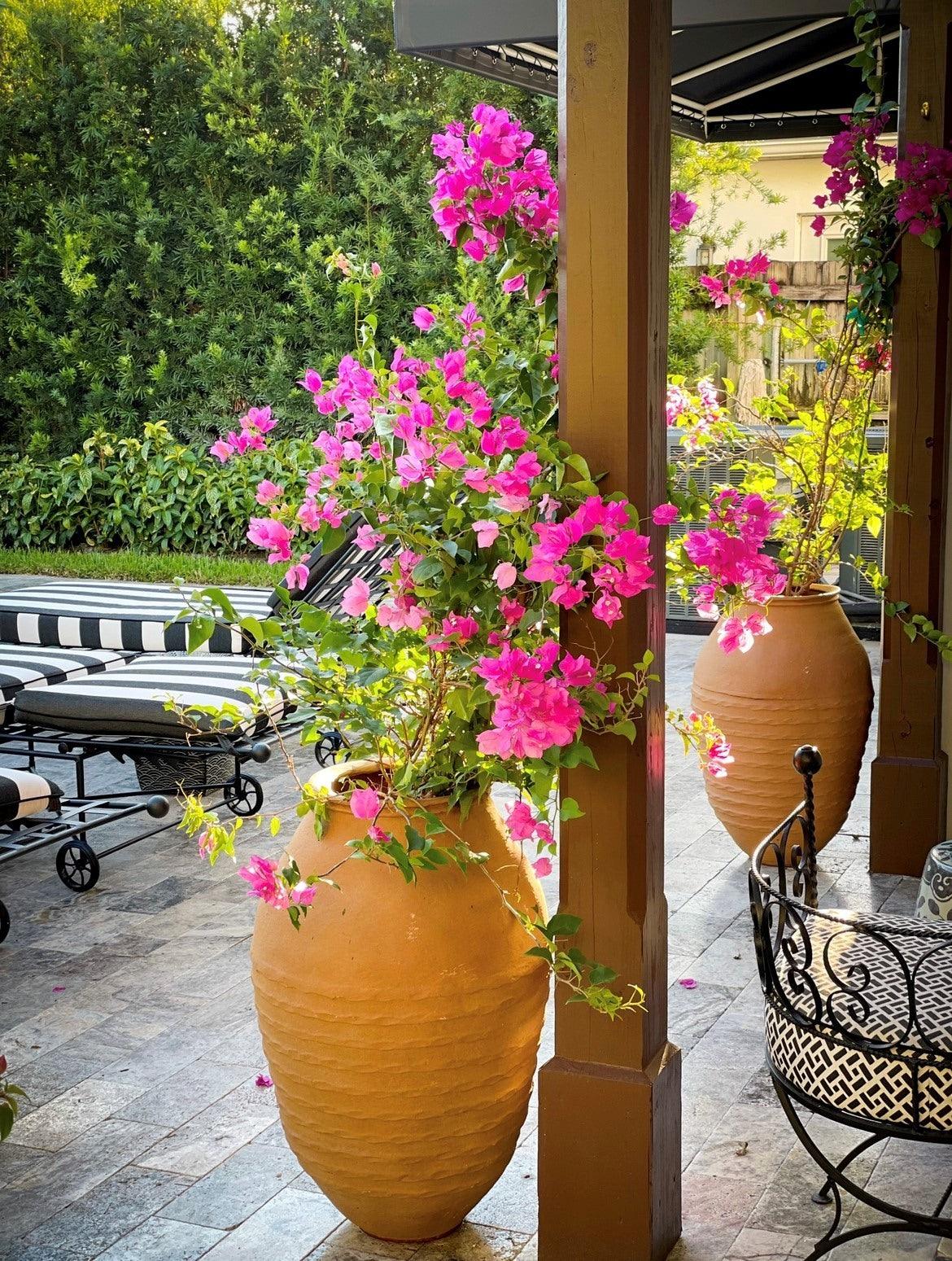 Mediterranean Fibreglass Planter - Garden House Design